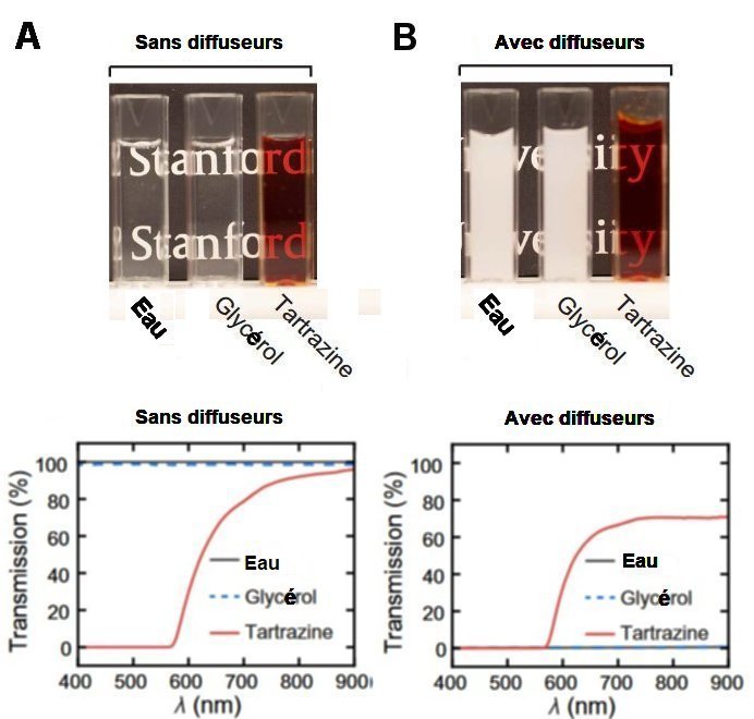  Fig.1. Des molécules de colorant qui rendent transparent des diffuseurs opaques A) 3 cuvettes transparentes sont disposées sur des caractères d’imprimerie. Elles sont remplies respectivement d’eau, d’une solution de 0,6 Mole de glycérol et d’une solution de 0,6 Mole de tartrazine, à gauche, et l’on distingue parfaitement les caractères sous-jacents. B) A droite on a rajouté dans les 3 cuvettes la même quantité de silice colloïdale qui sert de diffuseur dans des hydrogels préparés avec les mêmes solutions. Les courbes de transmission correspondantes sont tracées dans le bas de la figure. On remarque que, dans le cas B, la transmission est restée importante pour la tartrazine, alors que, pour l’eau et le glycérol, elle est quasi nulle. Tiré de Achieving optical transparency in live animals with absorbing molecule Zihao Ou, Yi-Shiou Duh, Nicholas J. Rommelfanger, Carl H. C. Keck, Shan Jiang, Kenneth Brinson Jr., Su Zhao, Elizabeth L. Schmidt, Xiang Wu, Fan Yang, Betty Cai, Han Cui, Wei Qi, Shifu Wu, Adarsh Tantry, Richard Roth, Jun Ding, Xiaoke Chen, Julia A. Kaltschmidt, Mark L. Brongersma, Guosong Hong Science 385, 1061 (2024). 6 September 2024 . Avec autorisation. 