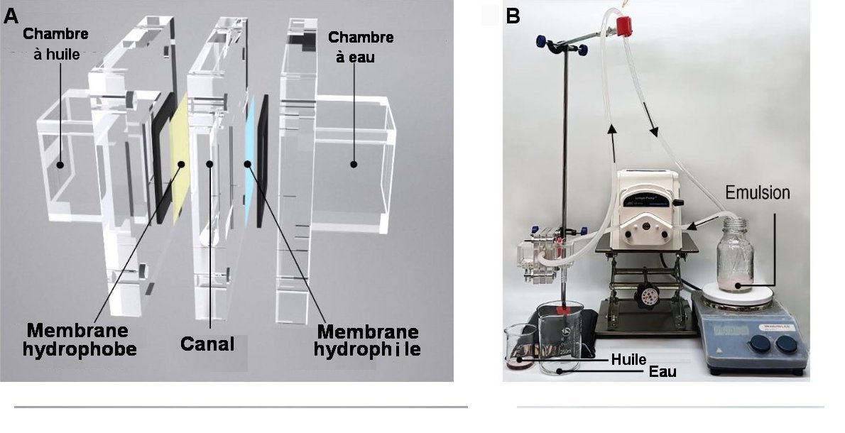  Fig. 4. Montage JCM à simple étage A) Eclaté du séparateur huile-eau JCM. Celui-ci est réalisé en polyacrylate de méthyle (Altuglas). L’aire effective des membranes est de 26 x 26 mm² et la largeur du canal peut être réglé de 125 mm à 4 mm. B) Vue du montage complet avec la pompe péristaltique qui assure la circulation de l’émulsion de départ à travers le séparateur. Tiré de Supplementary Materials for ‘‘Janus channel of membranes enables concurrent oil and water recovery from emulsions’’, Xin-Yu Guo et al. Science 386, 654 (2024) 