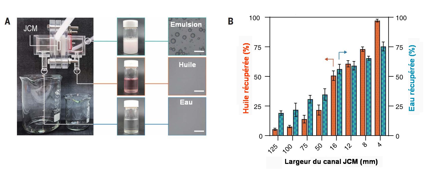 Fig.5 Apparei JCM et influence de la largeur du canal A) Images de l’appareil JCM. A droite, images au microscope de l’émulsion de départ et de l’huile et l’eau séparées obtenues. Les barres d’échelle valent 50 µm. B) Huile (en orange) et eau (en bleu) récupérées en fonction de diverse largeur du canal. Tiré de ‘‘Janus channel of membranes enables concurrent oil and water recovery from emulsions’’, Xin-Yu Guo et al. Science 386, 654 (2024)